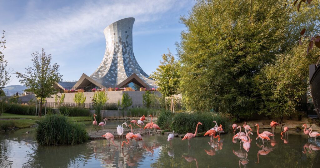 Ein Teich mit Flamingos vor dem Knie Kinderzoo in Rapperswil